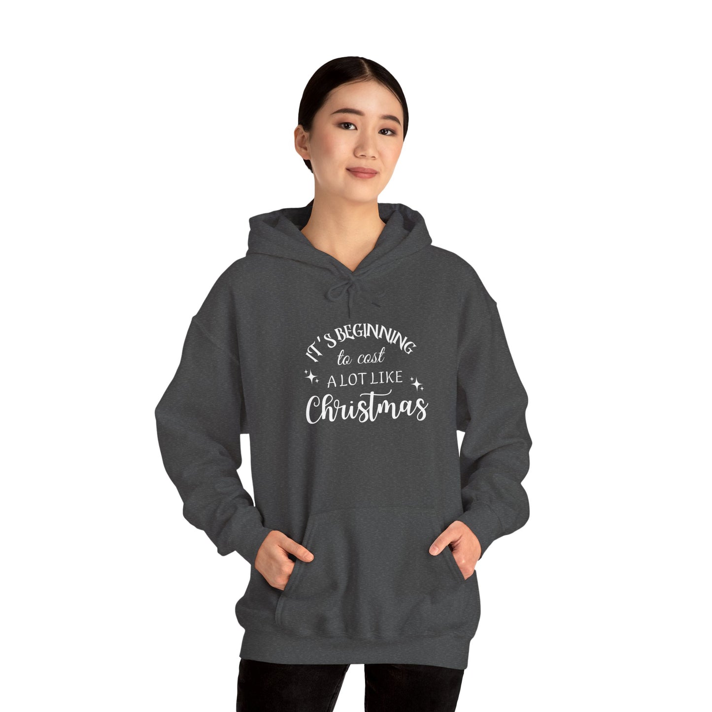It's Beginning to Cost a Lot Like Christmas Hoodie — Funny Christmas Sweatshirt White Text