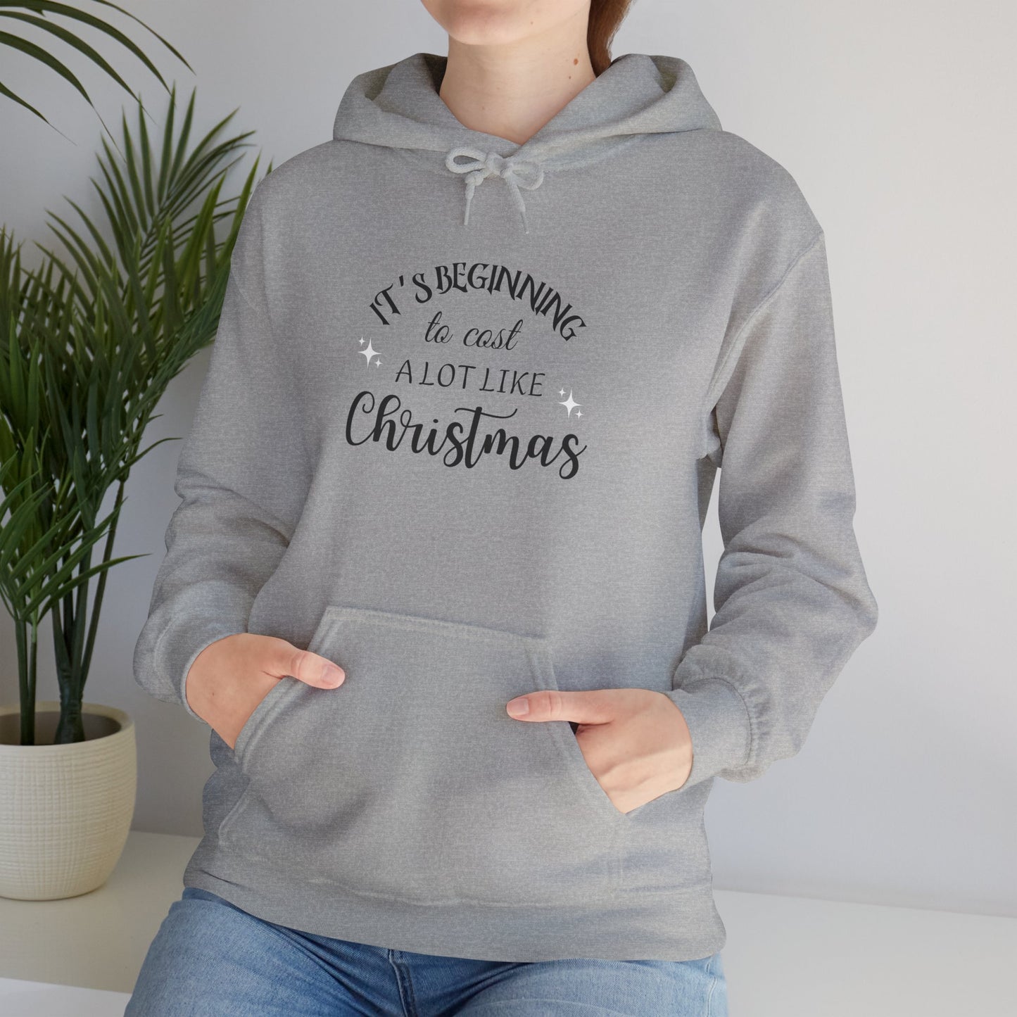 It's Beginning to Cost a Lot Like Christmas Hoodie — Funny Christmas Sweatshirt