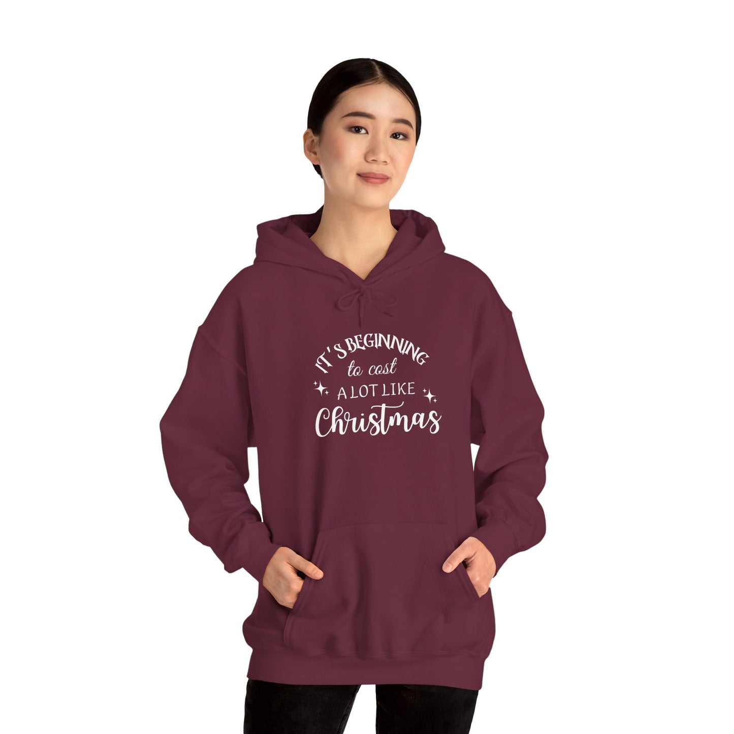 It's Beginning to Cost a Lot Like Christmas Hoodie — Funny Christmas Sweatshirt White Text
