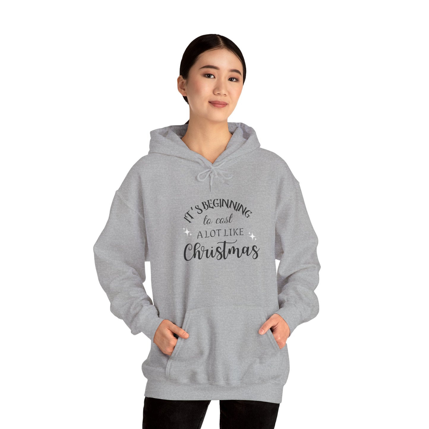 It's Beginning to Cost a Lot Like Christmas Hoodie — Funny Christmas Sweatshirt