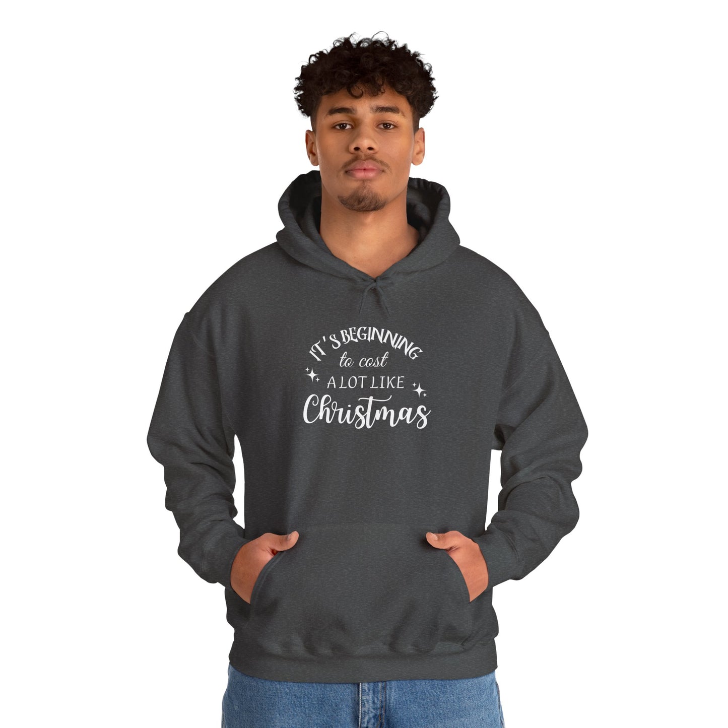 It's Beginning to Cost a Lot Like Christmas Hoodie — Funny Christmas Sweatshirt White Text