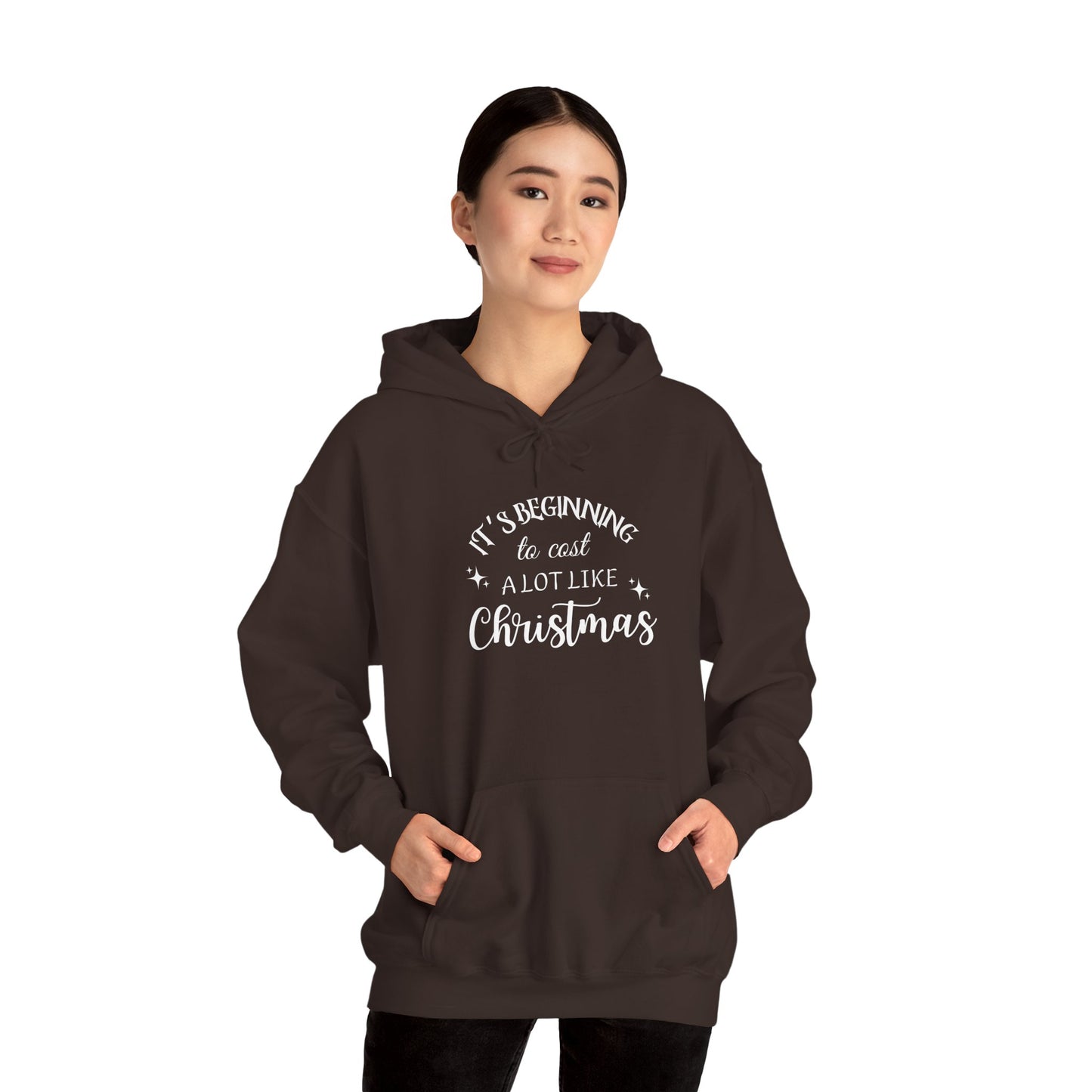 It's Beginning to Cost a Lot Like Christmas Hoodie — Funny Christmas Sweatshirt White Text
